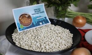 Antalya’da coğrafi işaret seferberliği Kumluca’ya taşındı – Birlik Haber Ajansı