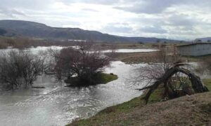 Beypazarı’nda sağanak yağmur sonrası ekili araziler sular altında kaldı – Birlik Haber Ajansı