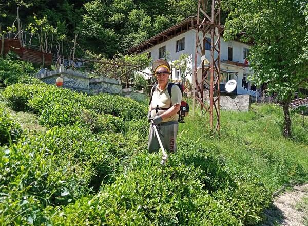  ÇAY ÜRETİCİSİ ÇAYIM YANDI…. MAYIS AYINDA ÇAY VEREMİYORUM DEDİ..