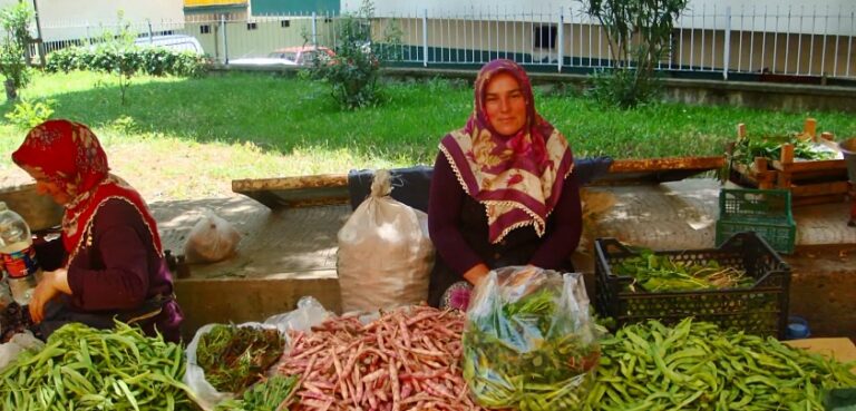  ÜRETİCİYE SORDUK…BU YILKİ  YAŞ ÇAY BEDELİ NE OLMALI…