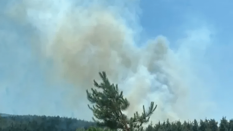  Aydın Efeler’de orman yangını! – Birlik Haber Ajansı