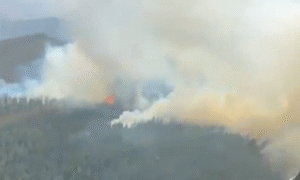 Çankırı’nın Yapraklı ilçesinde orman yangını: Müdahale sürüyor – Birlik Haber Ajansı