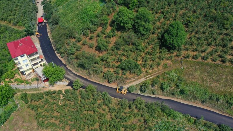 Gürgentepe Gültepe Mahallesi’ne sıcak asfalt – Birlik Haber Ajansı