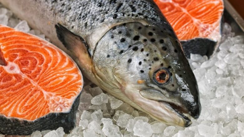  Doğu Karadeniz’in somon ihracatı 6 ayda 81,5 milyon doları aştı – Birlik Haber Ajansı