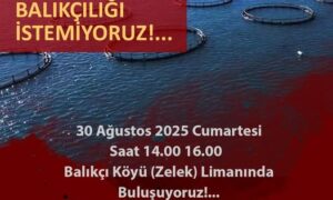 PAZAR ZELEK BALIKÇILARIN’DAN BİR BASIN AÇIKLAMASI DAHA….
