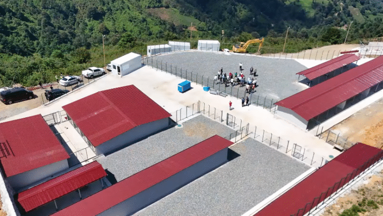  SOKAK HAYVANLARI YAŞAM ALANINA KAVUŞUYOR…