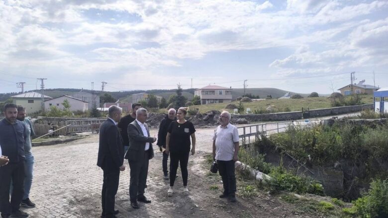  DSİ 24. Bölge Müdürü Serdar Kotan, Ardahan’daki derelerde devam eden çalışmaları yerinde inceledi – Birlik Haber Ajansı