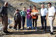 Atabey’de koyun projesi başarıyla tamamlandı! – Birlik Haber Ajansı