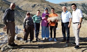 Atabey’de koyun projesi başarıyla tamamlandı! – Birlik Haber Ajansı