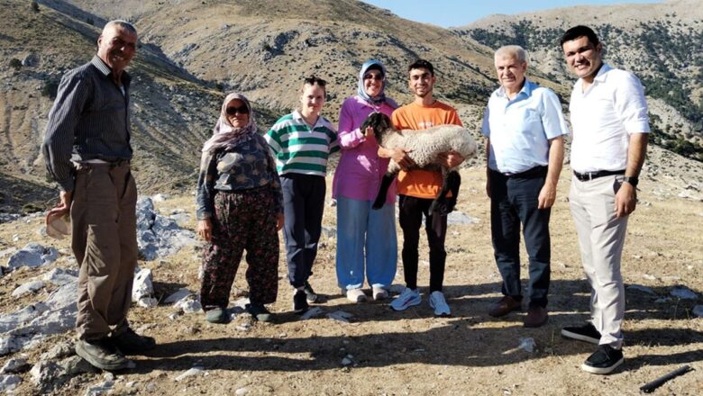  Atabey’de koyun projesi başarıyla tamamlandı! – Birlik Haber Ajansı