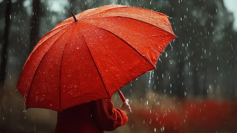  Afrika sıcaklarına yağmur molası! – Birlik Haber Ajansı