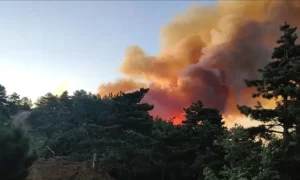 Manisa’da palet fabrikasında yangın çıktı – Birlik Haber Ajansı
