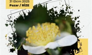 BUGÜN RİZE-PAZAR ‘DA ” ÜRETEN KADINLAR”  İLE İLGİLİ ÇALIŞTAY YAPILIYOR…