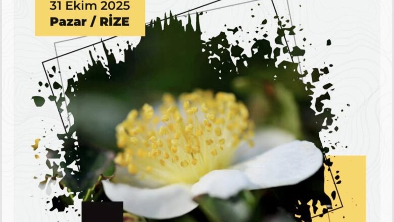  BUGÜN RİZE-PAZAR ‘DA ” ÜRETEN KADINLAR”  İLE İLGİLİ ÇALIŞTAY YAPILIYOR…