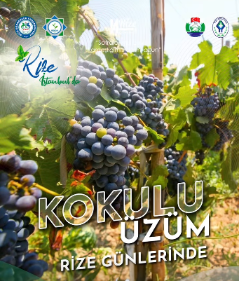  14.RİZE GÜNLERİ İSTANBUL’DA  BAŞLIYOR.