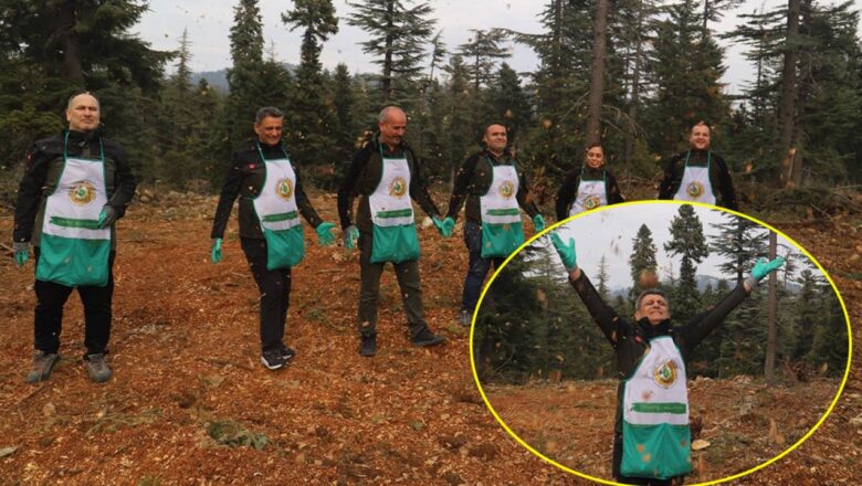  Sedir için seferberlik: 42 hektar alanda ekim – Birlik Haber Ajansı