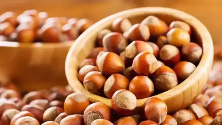  Fındık fiyatları yeni yıl İle yükselmeye başladı – Birlik Haber Ajansı