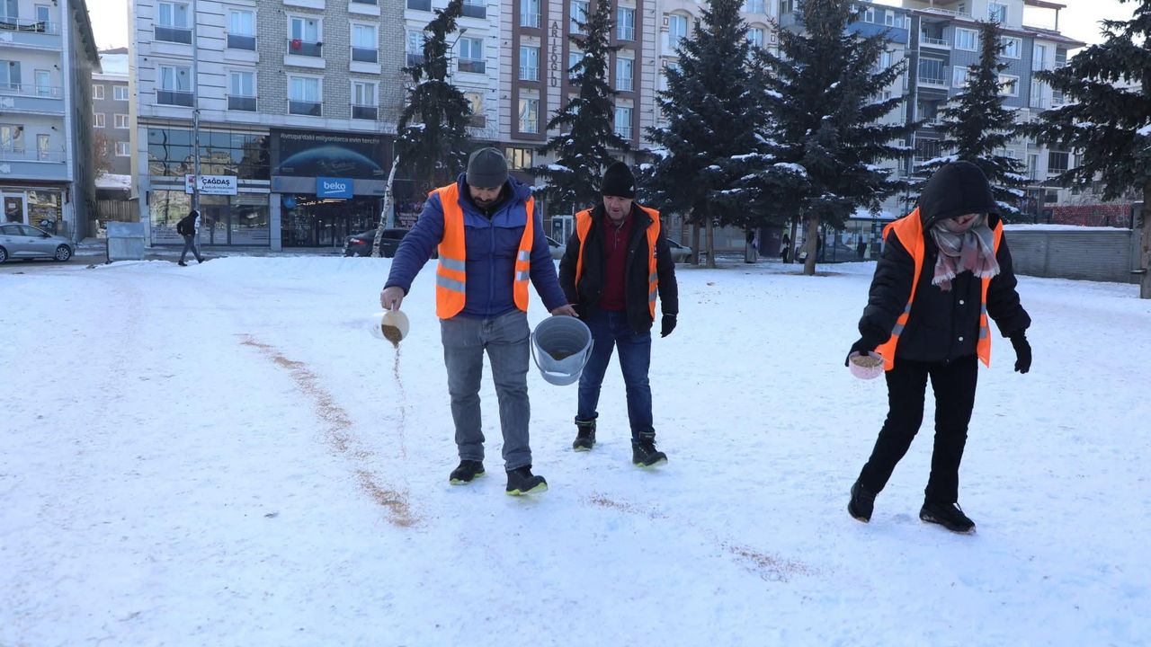 Kars Belediyesi’nden şefkat eli: Kanatlı dostlar unutulmadı - Birlik Haber Ajansı