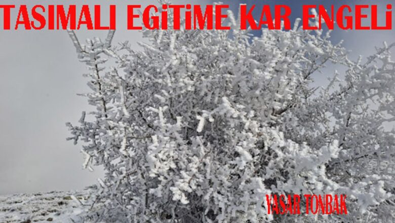  Beypazarı İlçesinde taşımalı eğitime bir gün ara verildi – Birlik Haber Ajansı