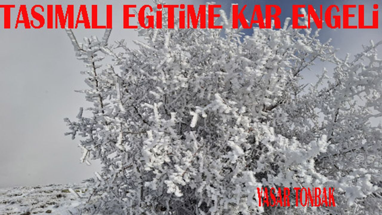 Beypazarı İlçesinde taşımalı eğitime bir gün ara verildi - Birlik Haber Ajansı
