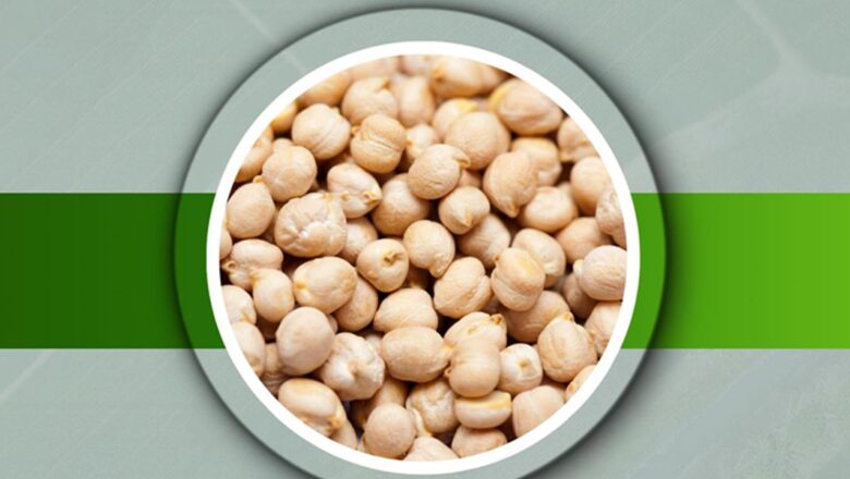  Başkan Dr. Özer Kasap: Nohut tohumu desteği başvuruları alınıyor – Birlik Haber Ajansı