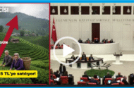 CHP RİZE MİLLETVEKİLİ TAHSİN OCAKLI,  YİNE ÇAY ÜRETİCİSİNİ MECLİSTE SAVUNDU….