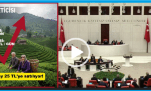CHP RİZE MİLLETVEKİLİ TAHSİN OCAKLI,  YİNE ÇAY ÜRETİCİSİNİ MECLİSTE SAVUNDU….