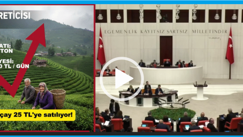  CHP RİZE MİLLETVEKİLİ TAHSİN OCAKLI,  YİNE ÇAY ÜRETİCİSİNİ MECLİSTE SAVUNDU….