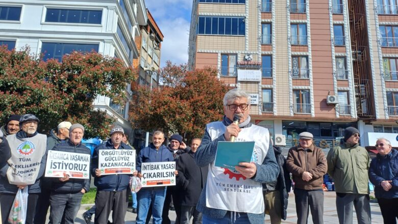  PAZAR TÜM EMEKLİLERİN SENDİKASI BASIN AÇIKLAMASI YAPTI..