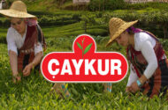 ÇAYKUR’DAN ÜRETİCİLERE UYARI…..