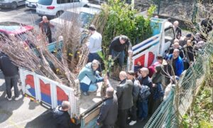 RİZE-PAZAR’DA 2500 ADET MEYVE FİDANI DAĞITILDI..