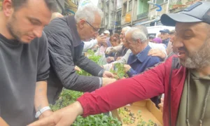 RİZE-PAZAR ZİRAAT ODASIN’DAN ÜRETİCİLERİNE FİDE DAĞITIMI YAPILDI…